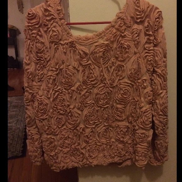 American Apparel rose sweater