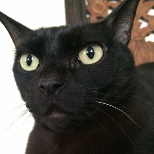 Meet your Posher, Jess