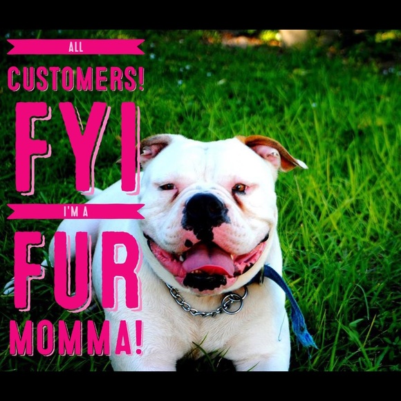 ‼️I HAVE A FUR BABY‼️
