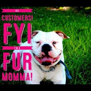 ‼️I HAVE A FUR BABY‼️