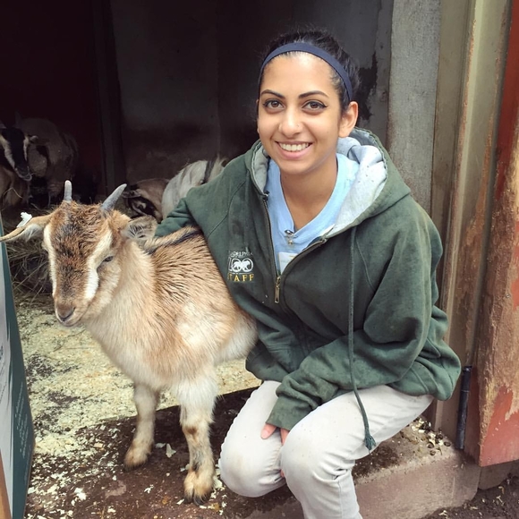 Meet your Posher, Brinda - Picture 1 of 1