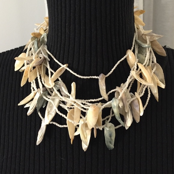 Wild shells for a sassy woman!