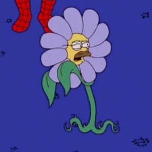 Meet your Posher, Lily