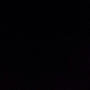 Meet your Posher, Shelby