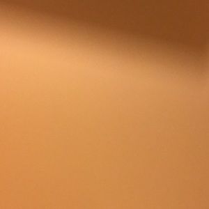 Meet your Posher, Ayesha