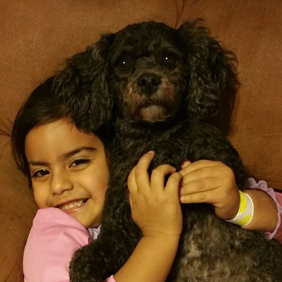 Meet your Posher, Sylvana - Picture 1 of 1