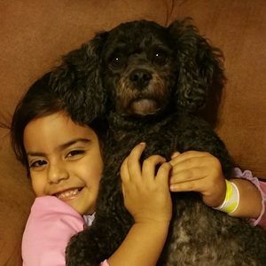 Meet your Posher, Sylvana