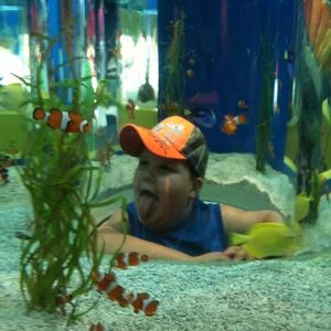 Meet your Posher, Krista