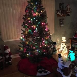 Meet your Posher, Trish