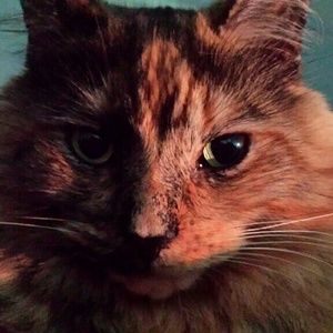 Meet your Posher, Nancy