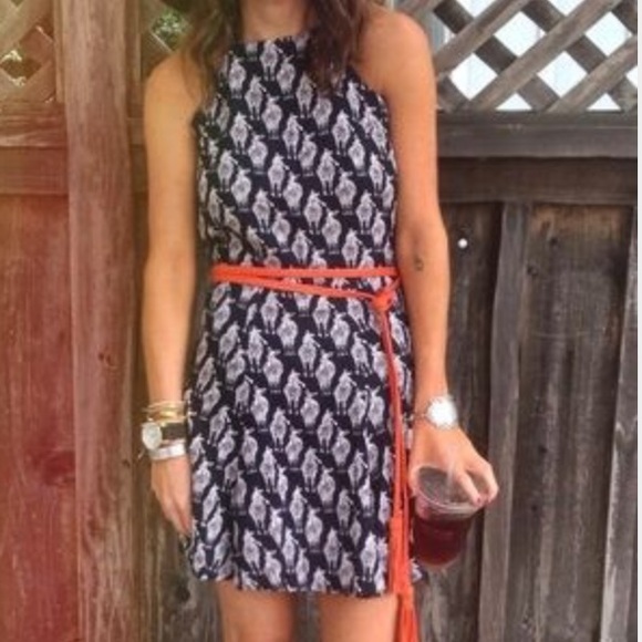 LF Dresses & Skirts - LF Zebra Dress