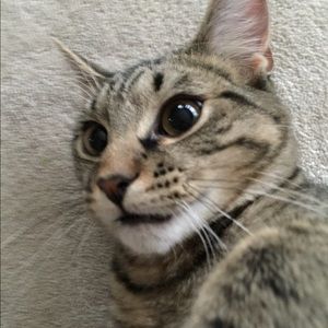 Meet your Posher, Anna