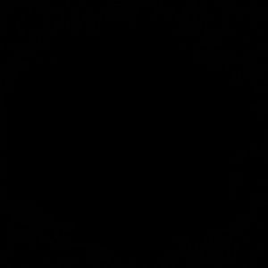 Meet your Posher, Hunter