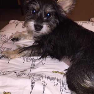 Meet your Posher, Haley