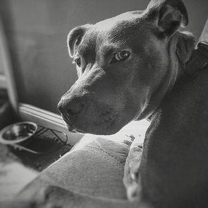 Meet your Posher, Helder