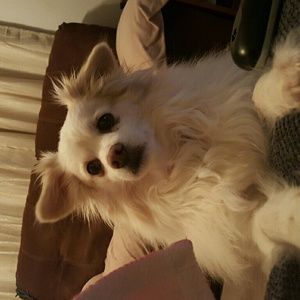 Meet your Posher, Tamara