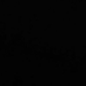 Meet your Posher, Charles