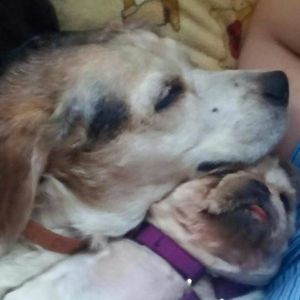 Meet your Posher, Christine