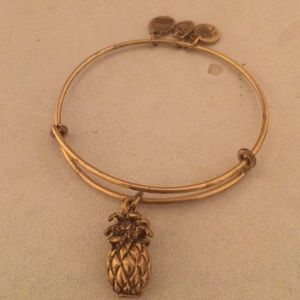 Alex + Ani Pineapple Charm *no longer in stores