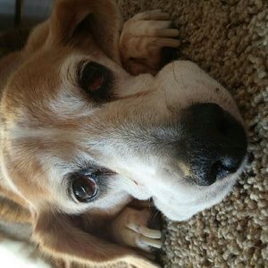 Meet your Posher, Robyn