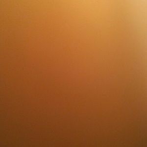 Meet your Posher, Allan