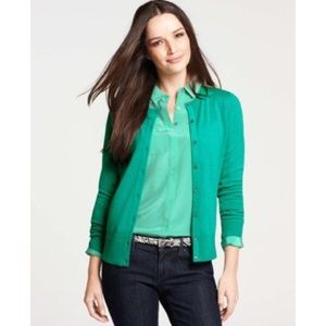Teal Ann Taylor Cardigan