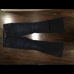 Joe's jeans the Visionnaire skinny bootcut