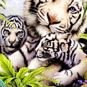 Meet your Posher, Nada