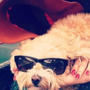 Meet your Posher, Rui