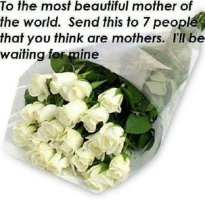 Meet your Posher, Rose