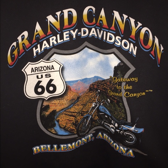 Harley Davidson hoodie