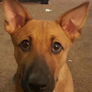 Meet your Posher, Bryan