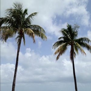 Meet your Posher, Marianne