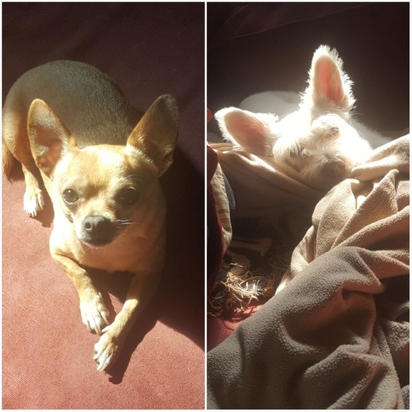 Meet your Posher, Kim - Picture 5 of 5