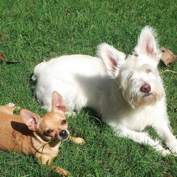 Meet your Posher, Kim - Picture 4 of 5