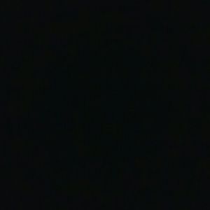 Meet your Posher, Martha