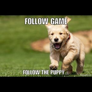 Follow game