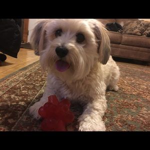 Meet your Posher, Erin