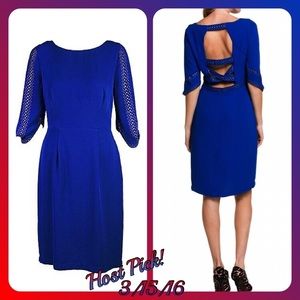 NWT- BCBG Maxazria blue dress w. Cutout back