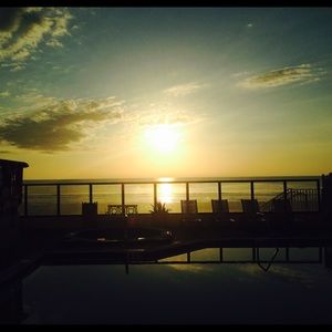 Meet your Posher, Lilly