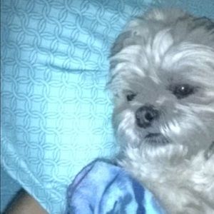 Meet your Posher, Jamie