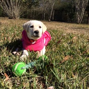 Meet your Posher, Kelsey