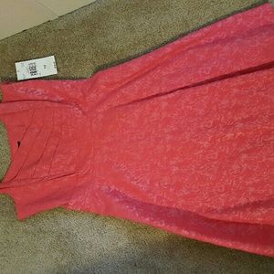 Size 12 sundress