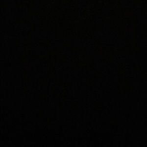 Meet your Posher, Martin