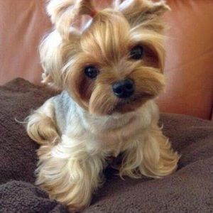 Meet your Posher, Nadine