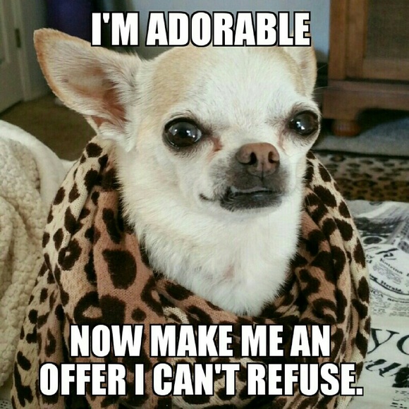 NFS...I'm Stewie and I like to dress up.