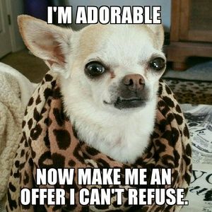 NFS...I'm Stewie and I like to dress up.