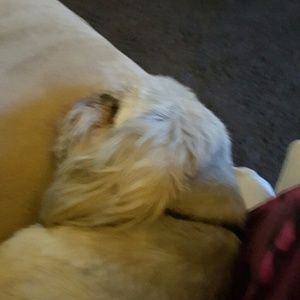 Meet your Posher, Tracy