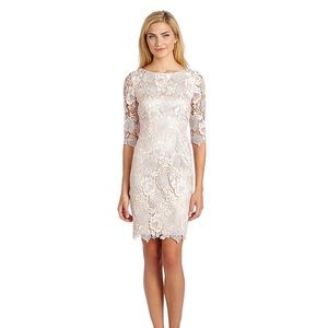 Eliza J Lace Sheath Dress, Size 4.