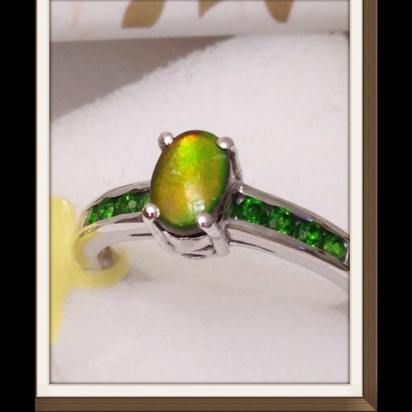 Canadian Ammolite, Russian Diopside - Picture 3 of 4